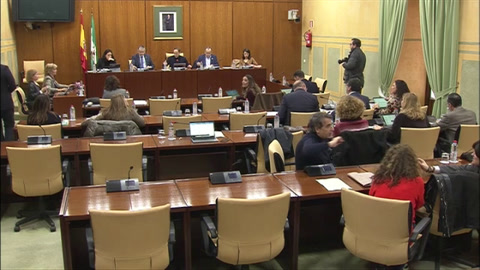 Diario de Sesiones Comisiones 613. Sanidad, Presidencia y Emergencias