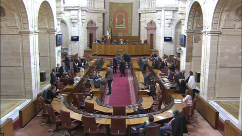 Diario Sesiones Pleno 145