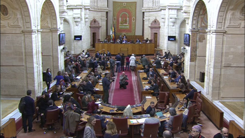 Diario Sesiones Pleno 147