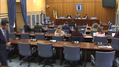 Diario de Sesiones Comisiones 626. Sostenibilidad y Medio Ambiente