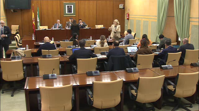 poster Diario de Sesiones Comisiones 640. Cultura y Deporte