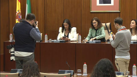 Diario de Sesiones Comisiones 644. Inclusión Social, Juventud, Familias e Igualdad