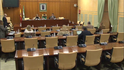 Diario de Sesiones Comisiones 645. Fomento, Articulación del Territorio y Vivienda 