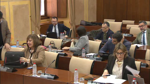 Diario de Sesiones Comisiones 648. Turismo y Andalucía Exterior