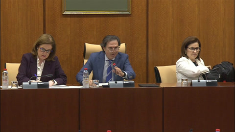 Diario de Sesiones Comisiones 646. Justicia, Administración Local y Función Pública 