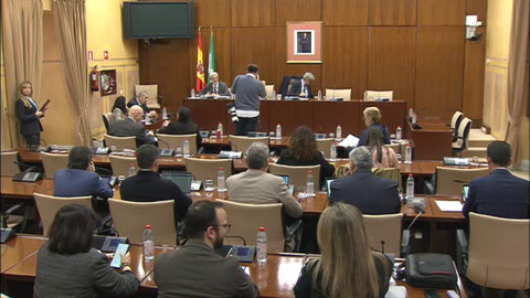 Diario de Sesiones Comisiones 650. Empleo, Empresa y Trabajo Autónomo