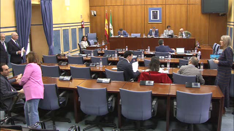 Diario de Sesiones Comisiones 653. Desarrollo Educativo y Formación Profesional