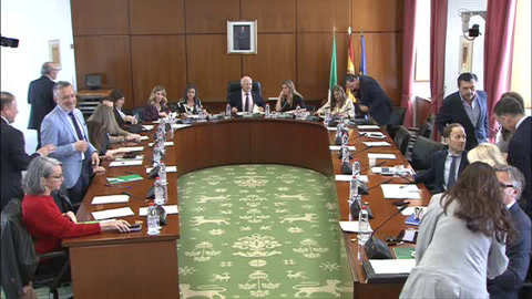 Diario de Sesiones Diputación Permanente 011