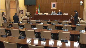 poster Diario de Sesiones Comisiones 508. Desarrollo Estatutario