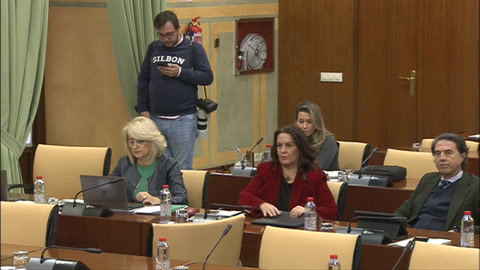 Diario de Sesiones Comisiones 606. Empleo, Empresa y Trabajo Autónomo