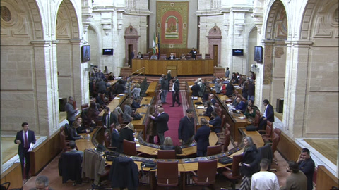 Diario Sesiones Pleno 142