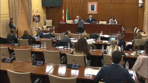 Diario de Sesiones Comisiones 607. Inclusión Social, Juventud, Familias e Igualdad