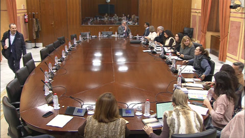 Diario de Sesiones Comisiones 609. Sobre la Infancia y la Adolescencia