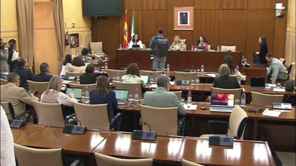 Diario de Sesiones Comisiones 487. Sobre la Infancia y la Adolescencia