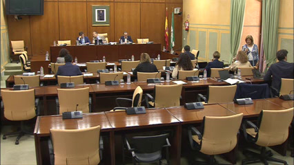 Diario de Sesiones Comisiones 489. Salud y Consumo