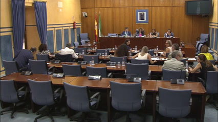 Diario de Sesiones Comisiones 509. Sobre Derechos y Atención a las Personas con Discapacidad