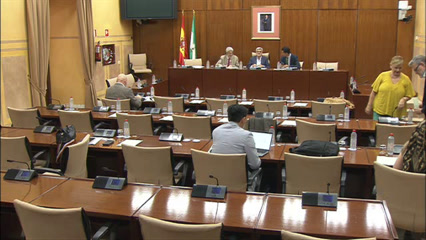 Diario de Sesiones Comisiones 510. Empleo, Empresa y Trabajo Autónomo