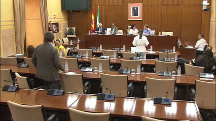 Diario de Sesiones Comisiones 515. Control de la RTVA y de sus Sociedades Filiales