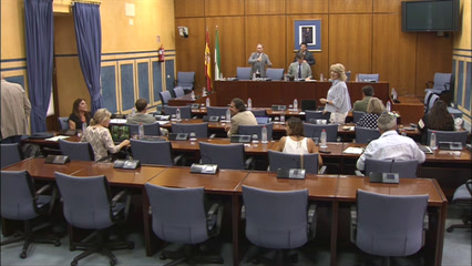 Diario de Sesiones Comisiones 516. Cultura y Deporte