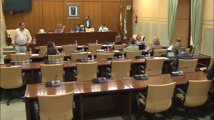 Diario de Sesiones Comisiones 518. Justicia, Administración Local y Función Pública 