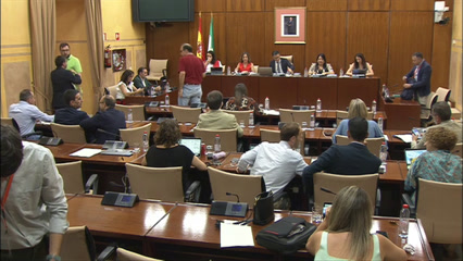 Diario de Sesiones Comisiones 519. Sostenibilidad y Medio Ambiente