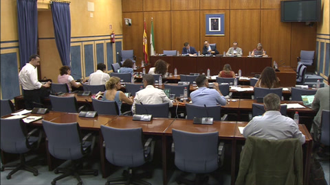 Diario de Sesiones Comisiones 527. Salud y Consumo