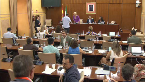Diario de Sesiones Comisiones 530. Economía, Hacienda y Fondos Europeos