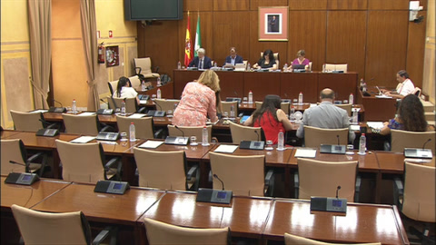 Diario de Sesiones Comisiones 532. Comisión de Control de la RTVA y de sus Sociedades Filiales