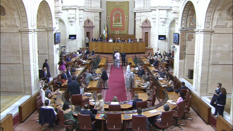 Diario Sesiones Pleno 127