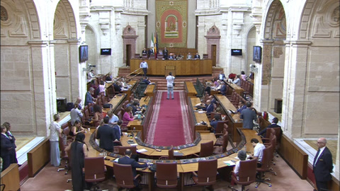 Diario Sesiones Pleno 128