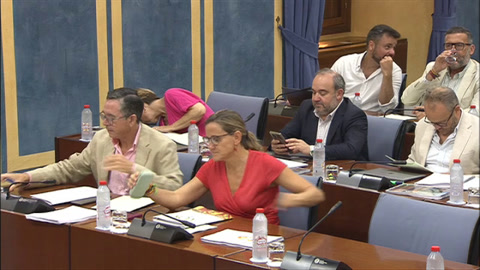 Diario de Sesiones Comisiones 537. Justicia, Administración Local y Función Pública 