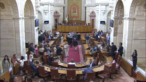 Diario Sesiones Pleno 131