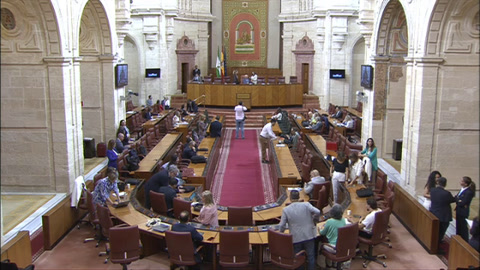 Diario Sesiones Pleno 132