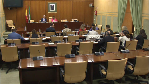 Diario de Sesiones Comisiones 547. Justicia, Administración Local y Función Pública 