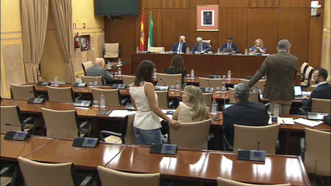 Diario de Sesiones Comisiones 550. Empleo, Empresa y Trabajo Autónomo