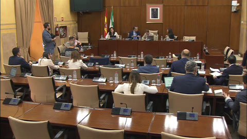 Diario de Sesiones Comisiones 553. Presidencia, Interior, Diálogo Social y Simplificación...