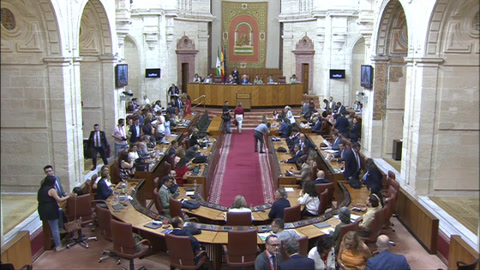 Diario Sesiones Pleno 133