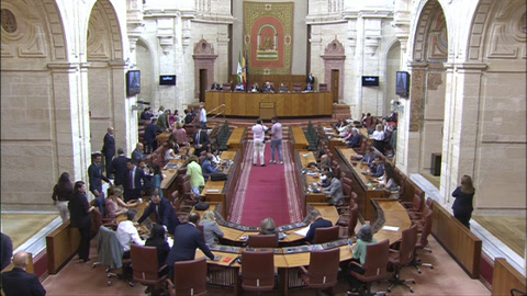 Diario Sesiones Pleno 134