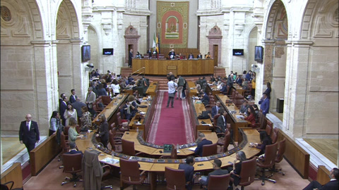 Diario Sesiones Pleno 137