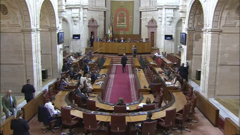 Diario Sesiones Pleno 138