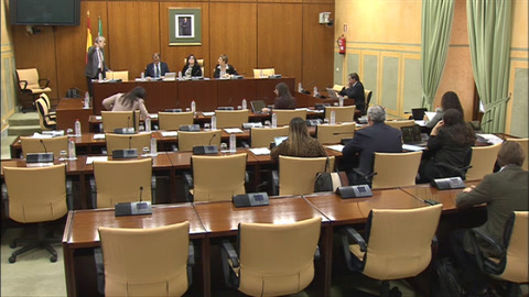 Diario de Sesiones Comisiones 594. Control de la RTVA y de sus Sociedades Filiales