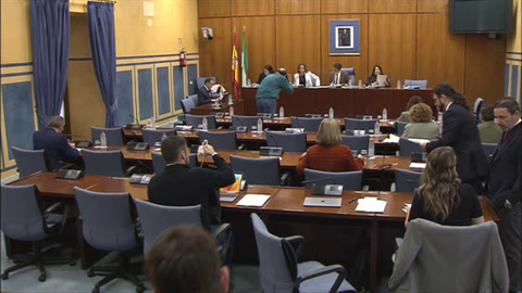 Diario de Sesiones Comisiones 595. Sostenibilidad y Medio Ambiente