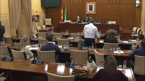 Diario de Sesiones Comisiones 596. Cultura y Deporte