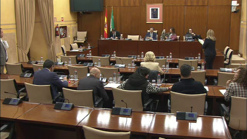 Diario de Sesiones Comisiones 598. Industria, Energía y Minas