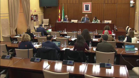 Diario de Sesiones Comisiones 599. Inclusión Social, Juventud, Familias e Igualdad