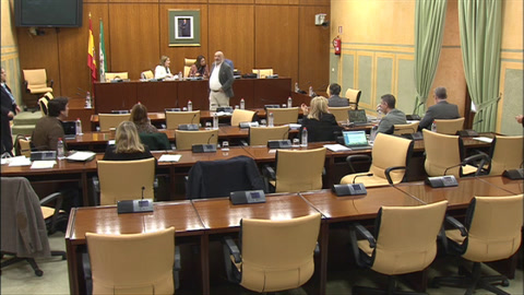 Diario de Sesiones Comisiones 601. Fomento, Articulación del Territorio y Vivienda 