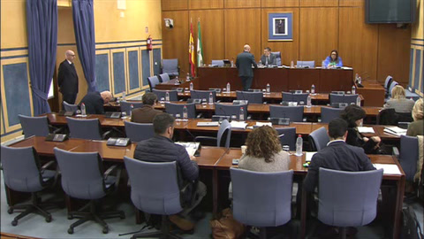 Diario de Sesiones Comisiones 602. Industria, Energía y Minas