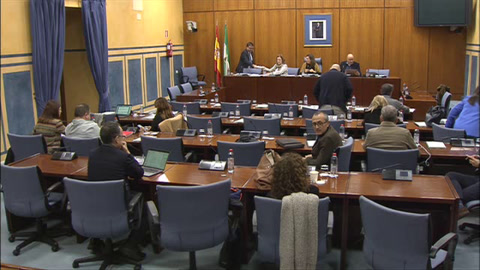 Diario de Sesiones Comisiones 603. Fomento, Articulación del Territorio y Vivienda 